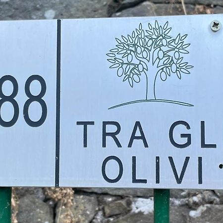 Apartamento Tra Gli Olivi Lucca Exterior foto