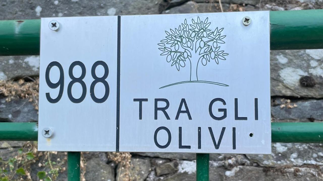 Apartamento Tra Gli Olivi Lucca Exterior foto