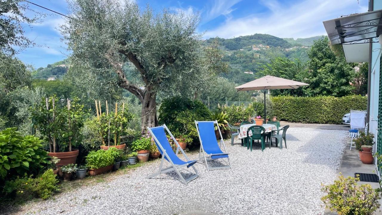 Apartamento Tra Gli Olivi Lucca Exterior foto