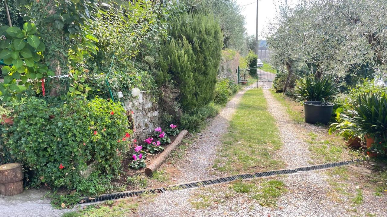 Apartamento Tra Gli Olivi Lucca Exterior foto