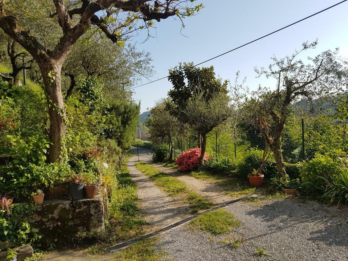 Apartamento Tra Gli Olivi Lucca Exterior foto